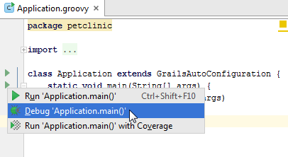 grails3 debug app main grails3 debug app main
