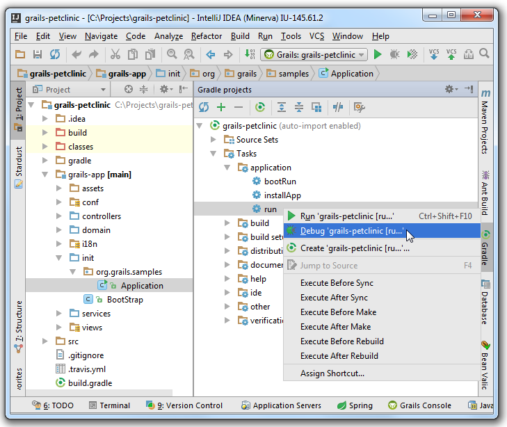 grails3 debug gradle grails3 debug gradle