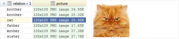 DBTableQuickDocPicture DBTableQuickDocPicture