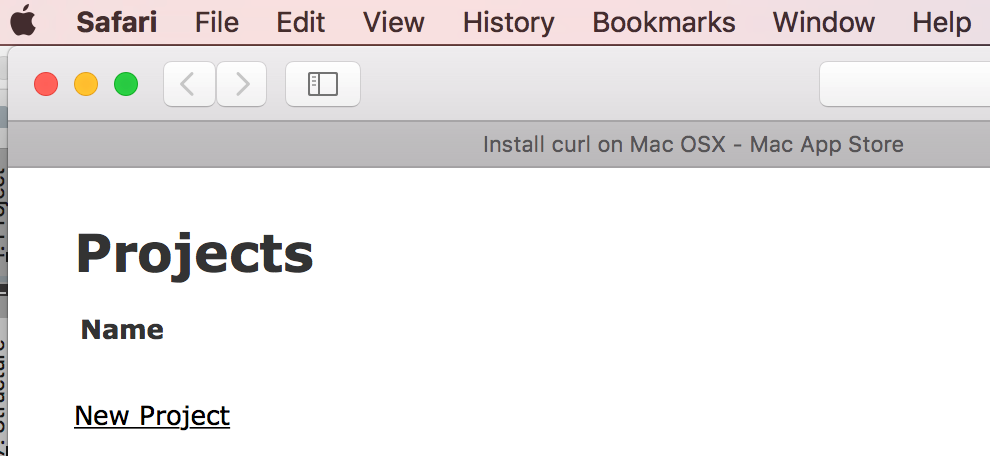 rm docker rails実行出力 rm docker rails run output