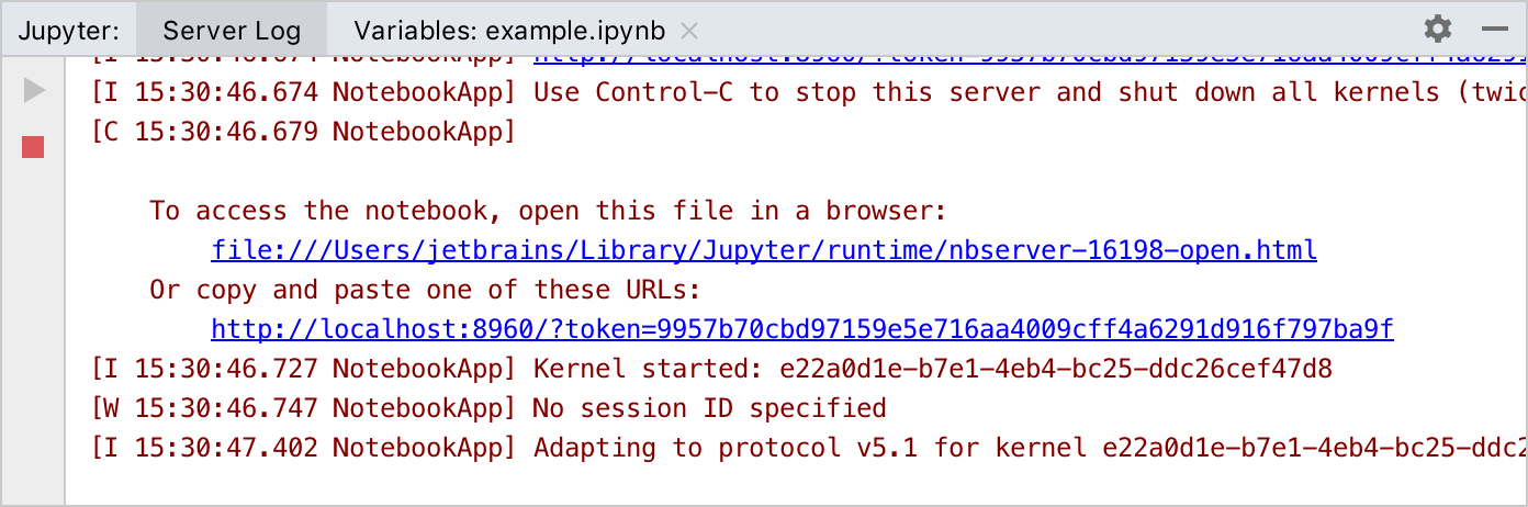 Jupyterサーバーツールウィンドウ: サーバーログタブ Jupyter server tool window: the Server log tab