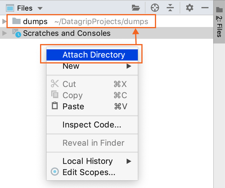 クローンファイルを含むディレクトリを添付する Attach a directory with cloned files