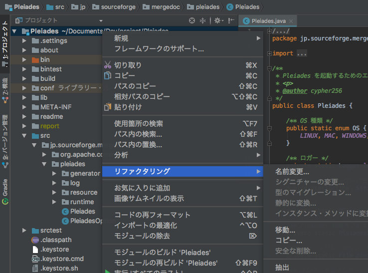 IntelliJ 日本語化